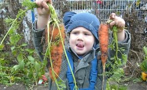 A young boy holds two freshly picked carrots into the camera